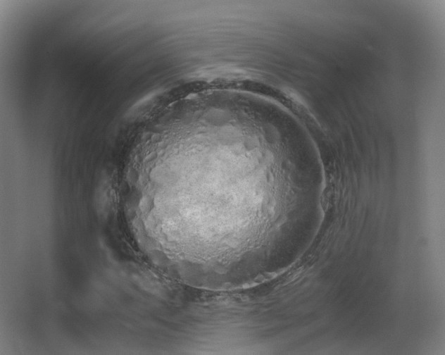 X0000062881063200601131303