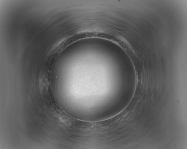 X0000062881064200601131303