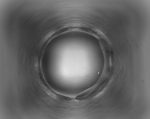 X0000062881065200601131303