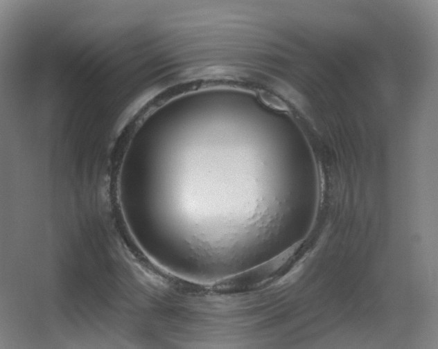 X0000062881066200601131303
