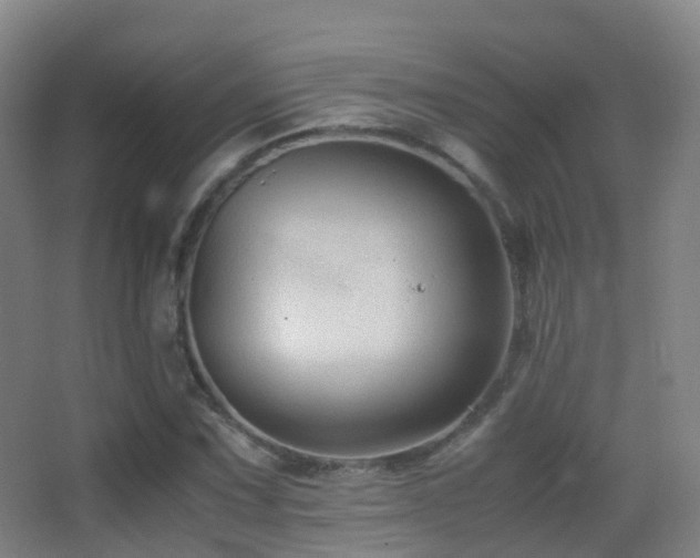 X0000062881067200601131302