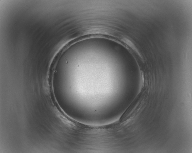 X0000062881068200601131302