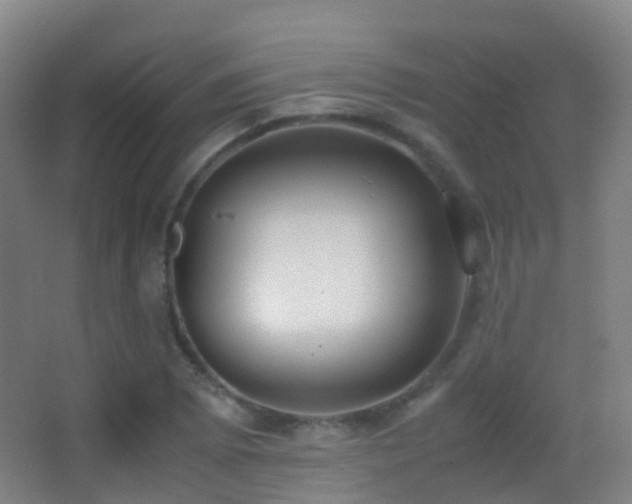 X0000062881073200601131302