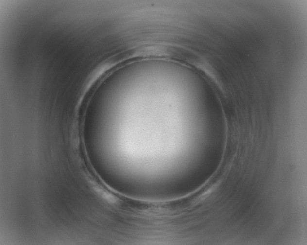 X0000062881075200601131302