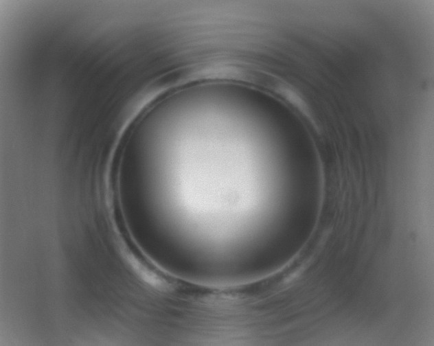 X0000062881082200601131302
