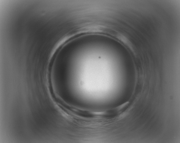 X0000062881085200601131302
