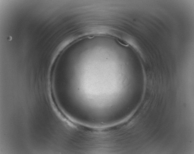 X0000062881088200601131302