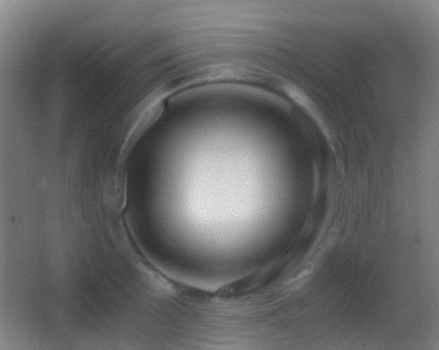 X0000062881089200601131302