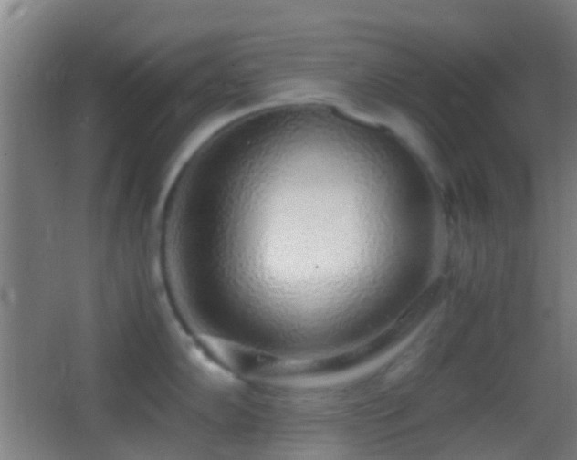 X0000062881102200601131302