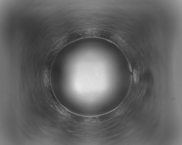 X0000062881107200601131301