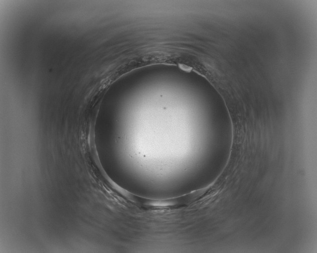 X0000062881109200601131301