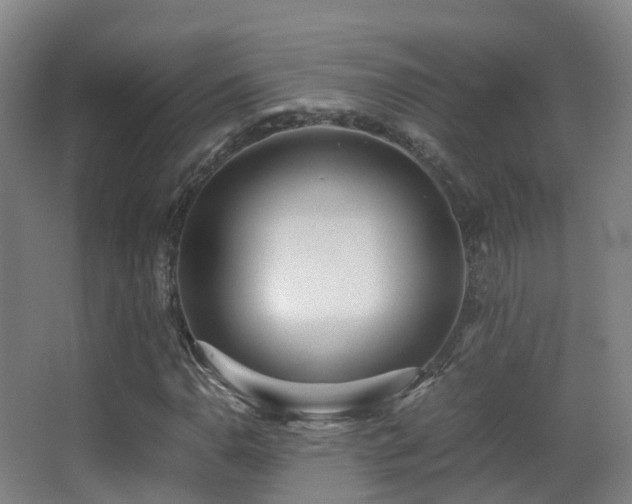 X0000062881110200601131301