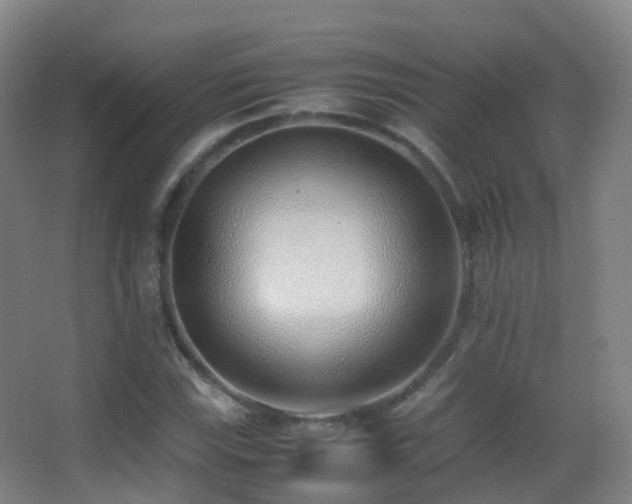 X0000062881115200601131301