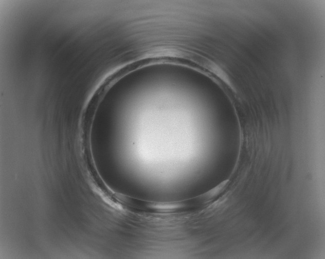 X0000062881116200601131301