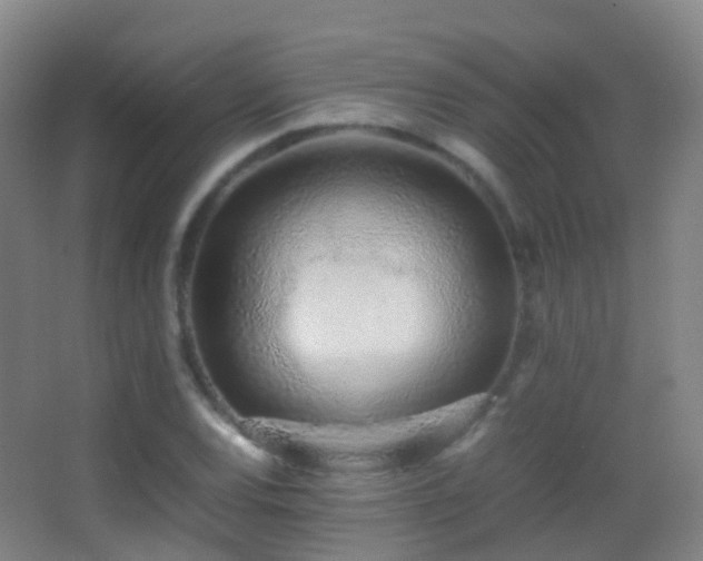 X0000062881120200601131301