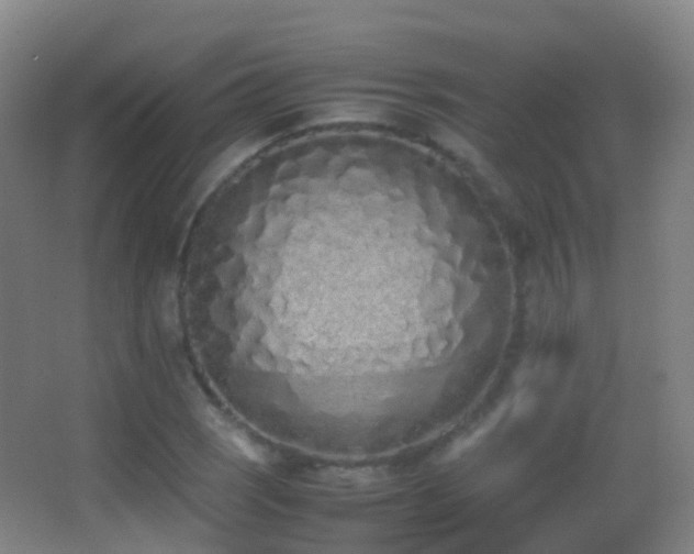 X0000062881121200601131301