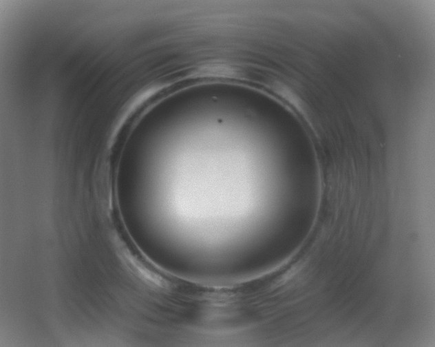 X0000062881123200601131301