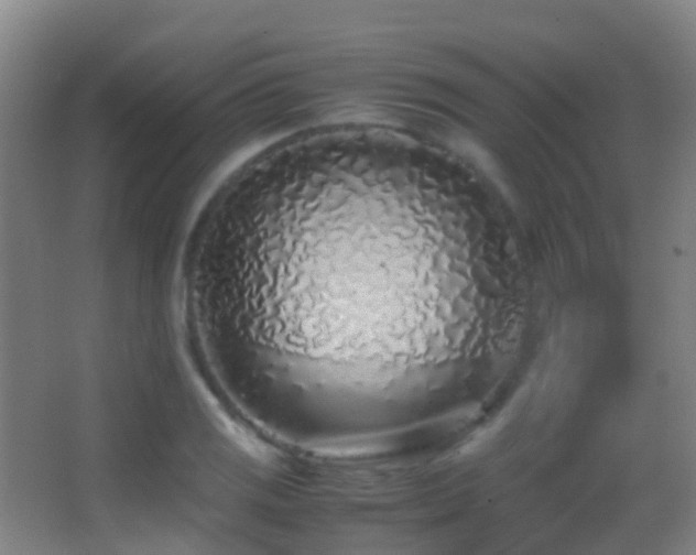X0000062881125200601131301