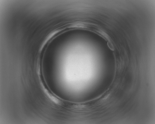 X0000062881131200601131301