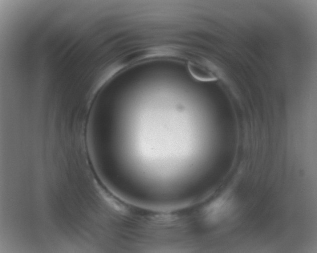 X0000062881137200601131302