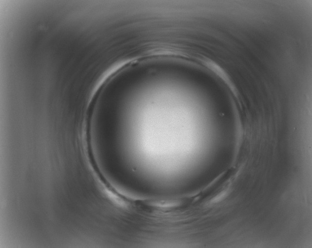 X0000062881149200601131302