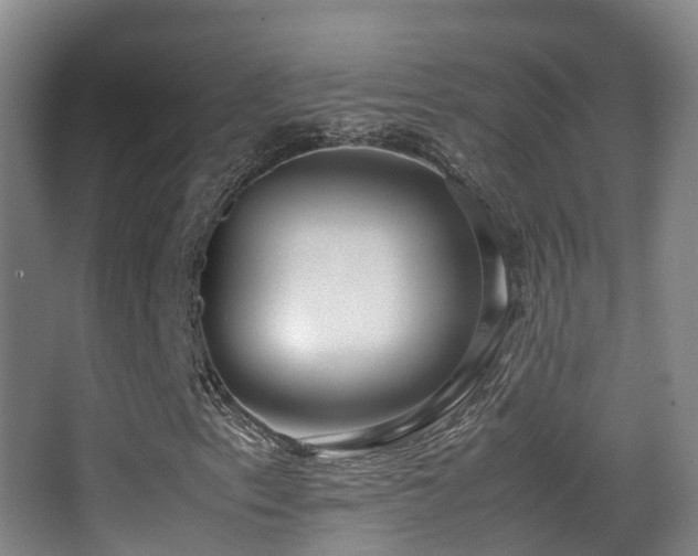 X0000062881153200601131301