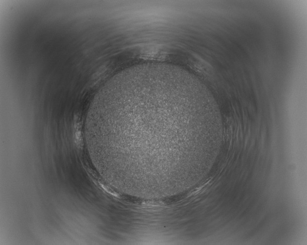 X0000062881154200601131301