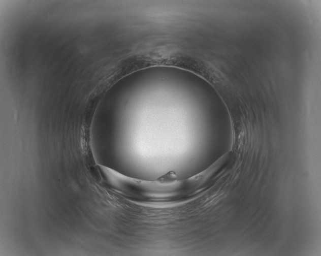 X0000062881156200601131301