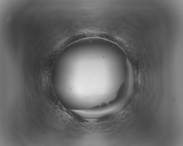 X0000062881157200601131301