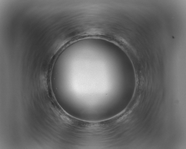 X0000062881162200601131301