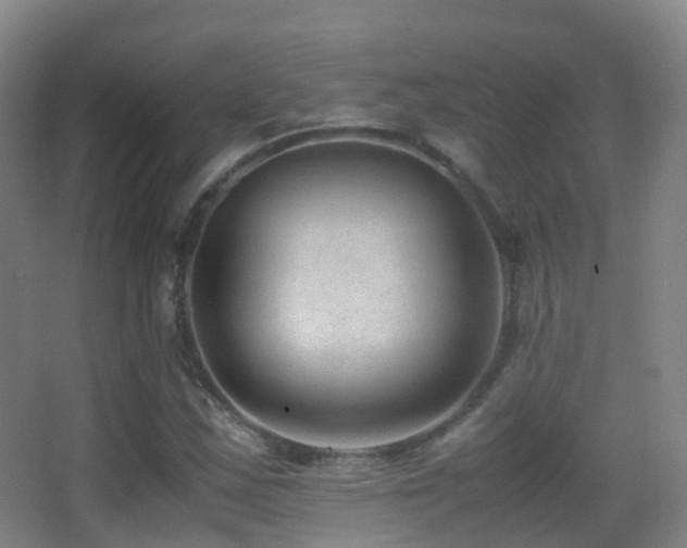 X0000062881163200601131301
