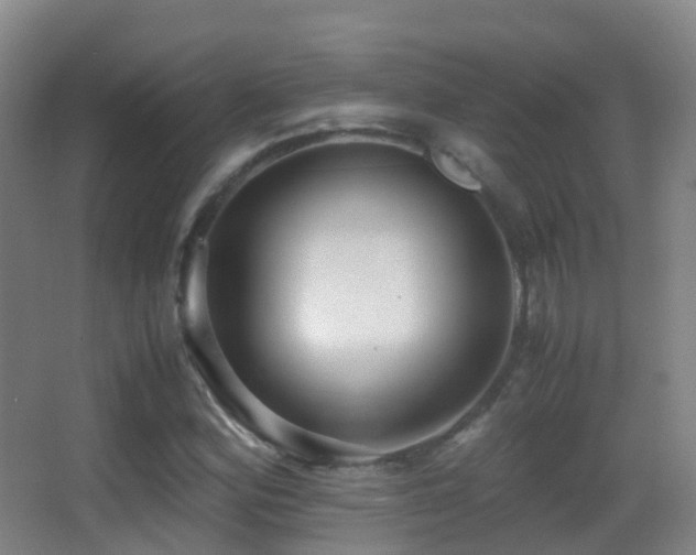 X0000062881164200601131301