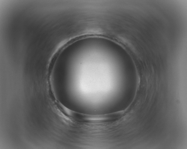 X0000062881168200601131301