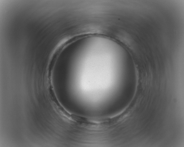 X0000062881172200601131301