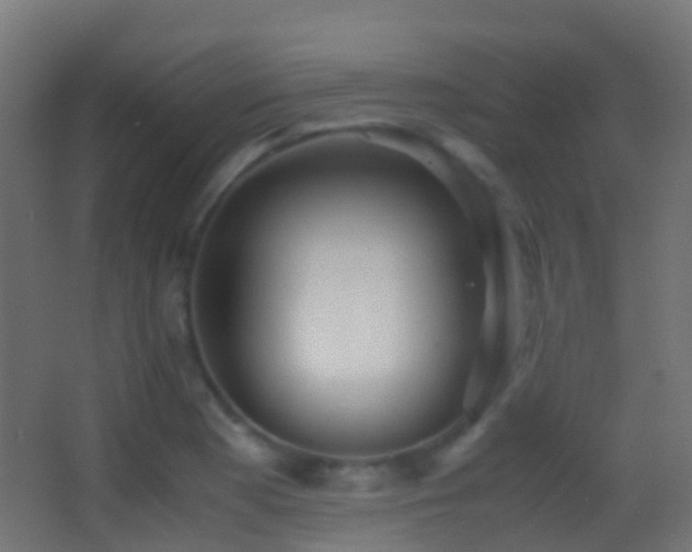 X0000062881177200601131301