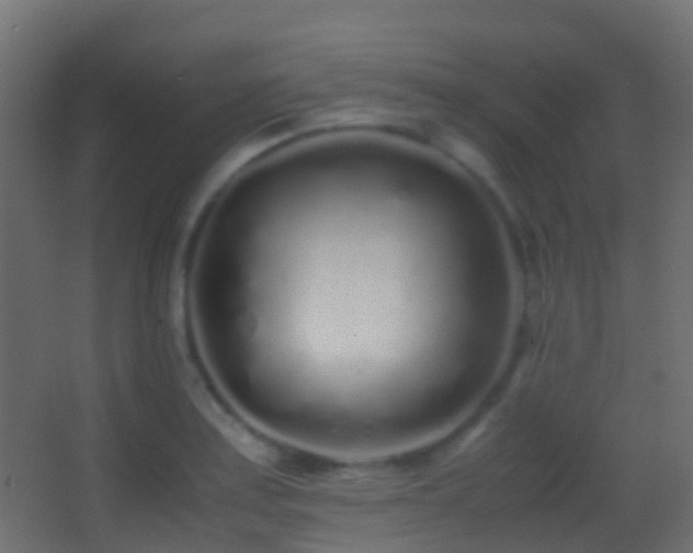 X0000062881179200601131301