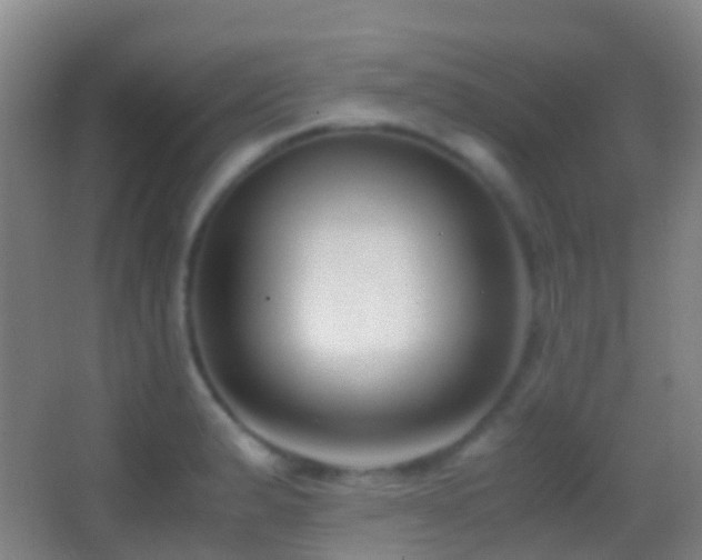 X0000062881183200601131301