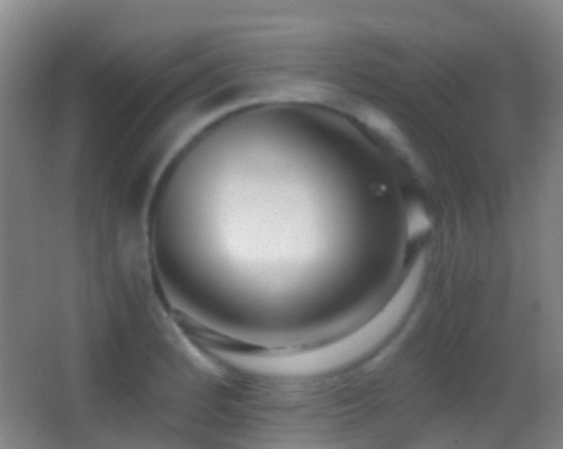 X0000062881184200601131301