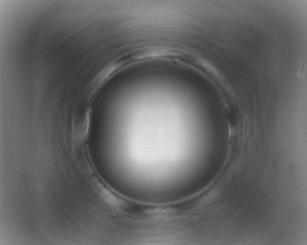 X0000062881185200601131300