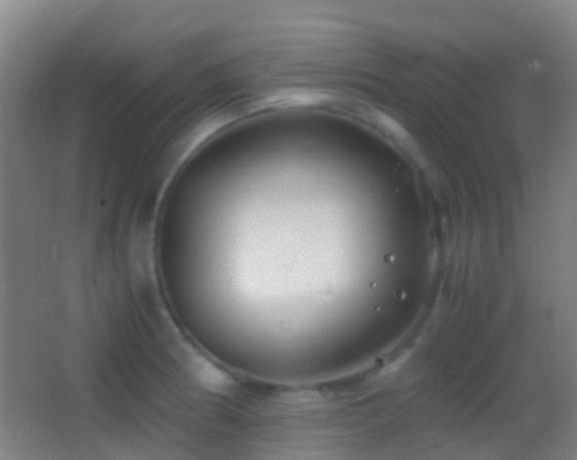 X0000062881186200601131300