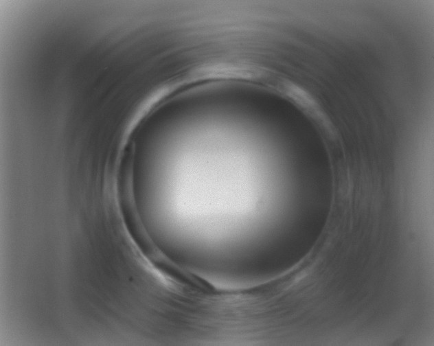 X0000062881188200601131300