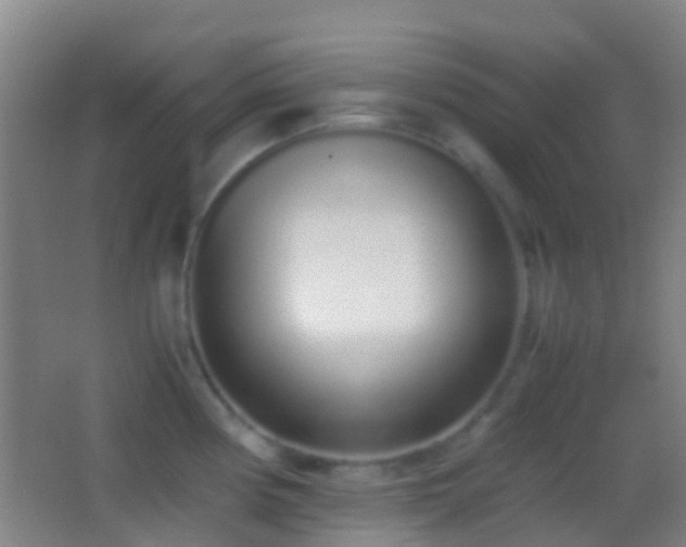 X0000062881194200601131300