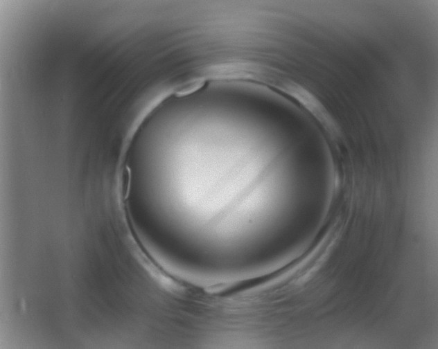 X0000062881196200601131300