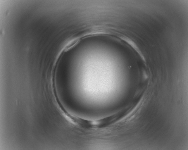X0000062881197200601131300