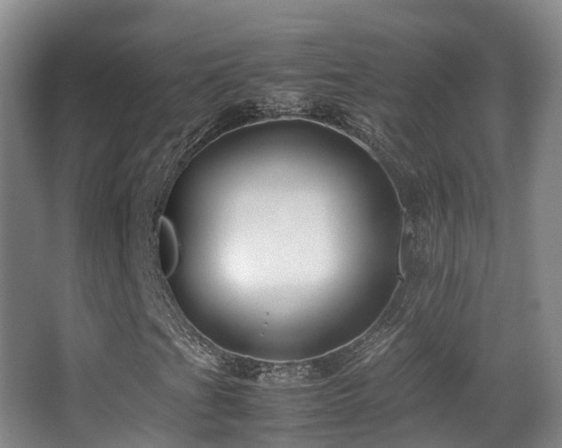 X0000062881201200601131259