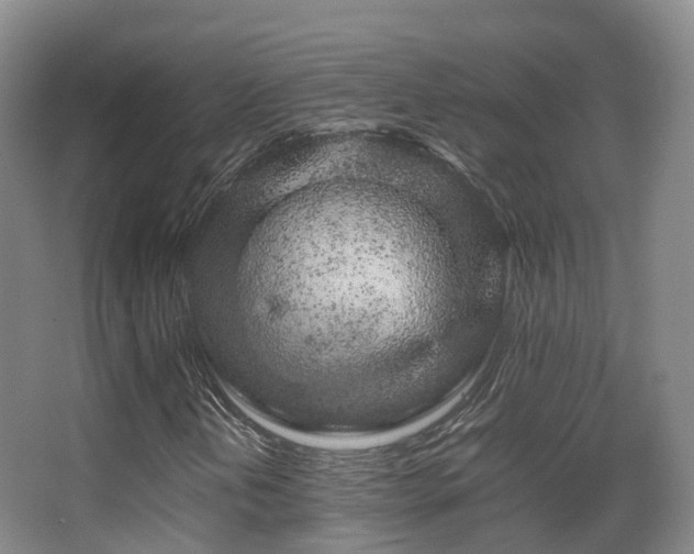 X0000062881202200601131259