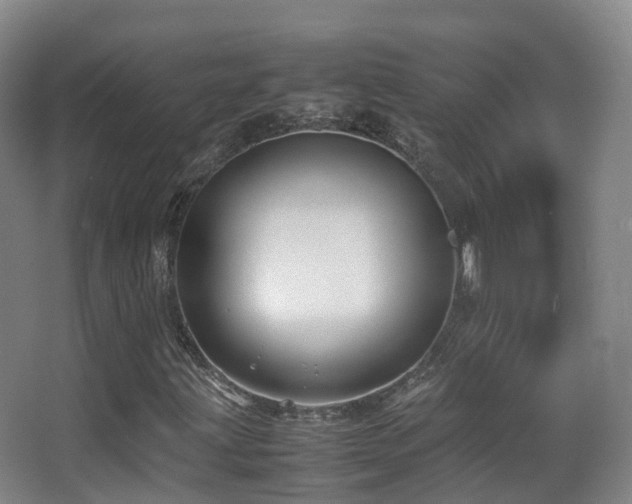 X0000062881203200601131259