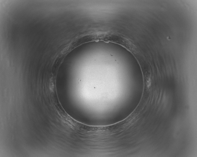 X0000062881204200601131259