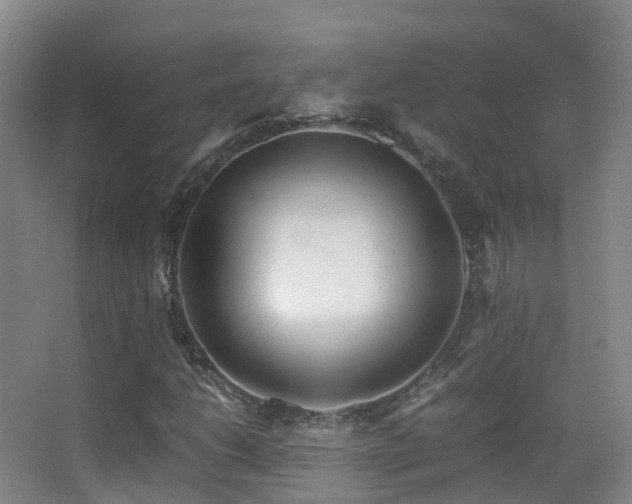 X0000062881206200601131300