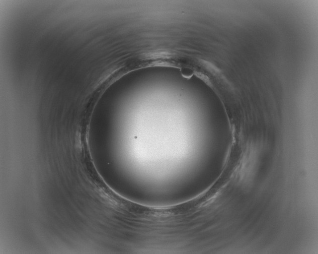X0000062881209200601131300